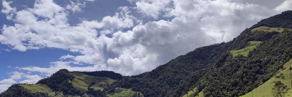 alejocmol's profile banner image