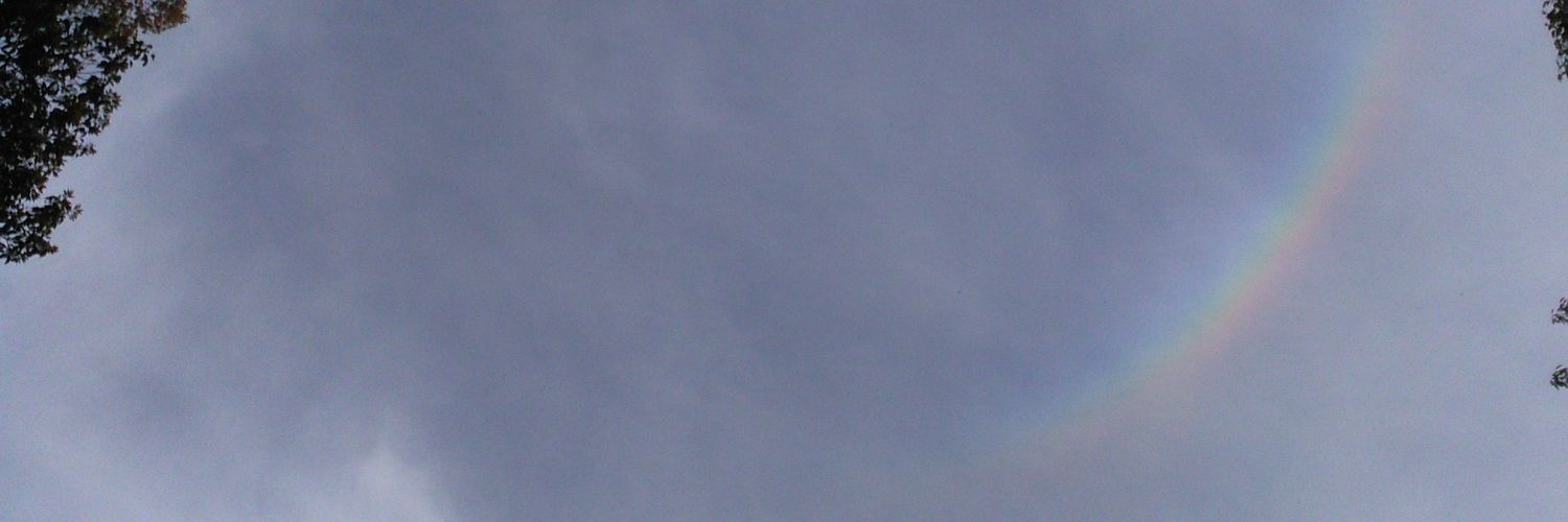 icedkapalapi's profile banner image