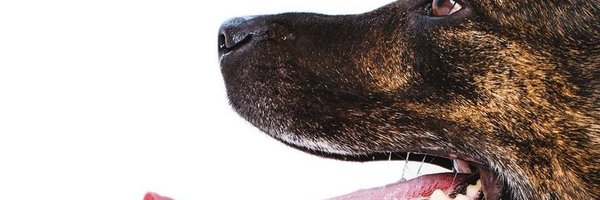 simonmorris79 Profile Banner