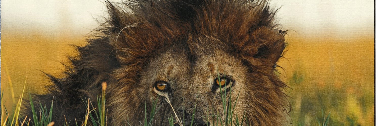 batusaijack's profile banner image