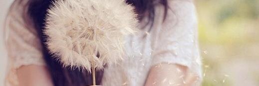 Sasho Janevski banner