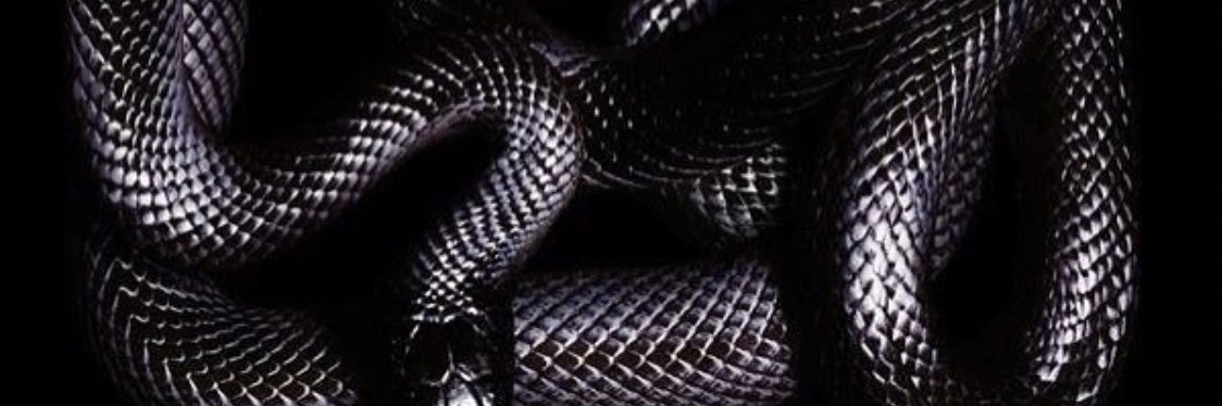 BeALush's profile banner image