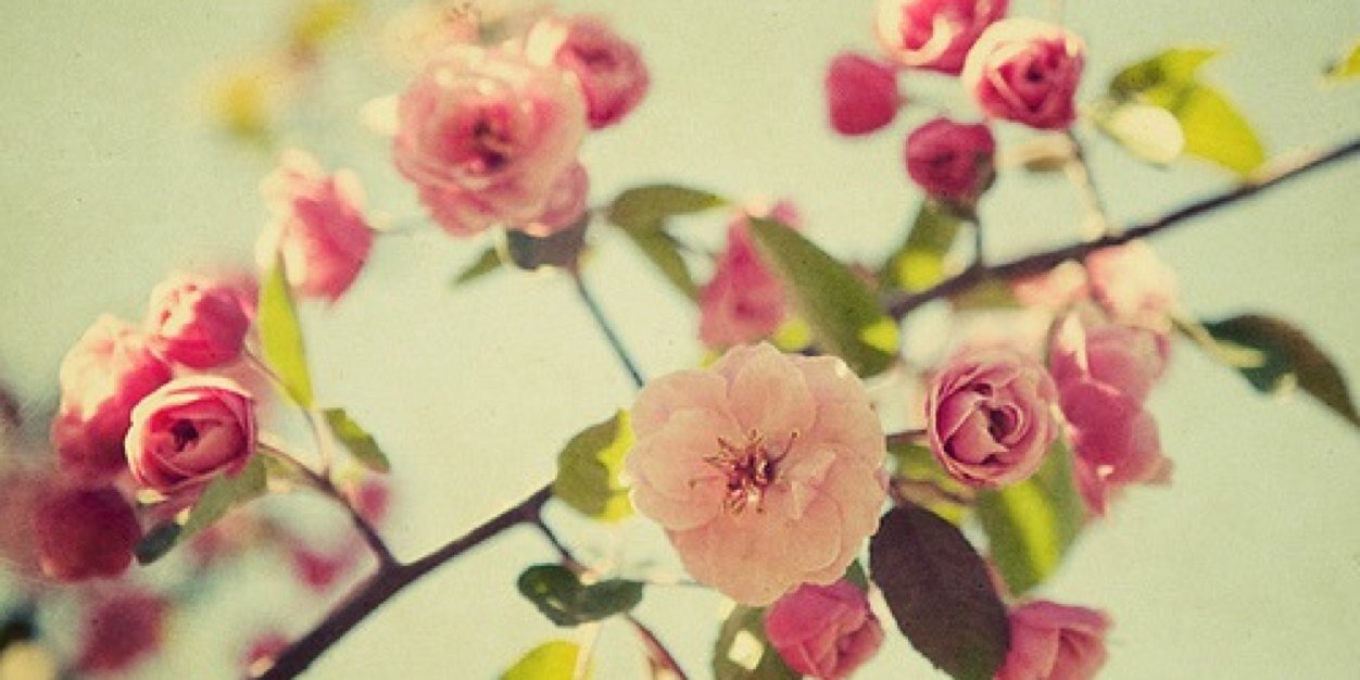explorewithsara's profile banner image