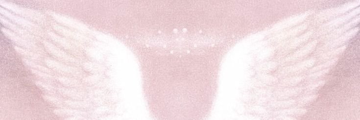 clo 🦇 banner