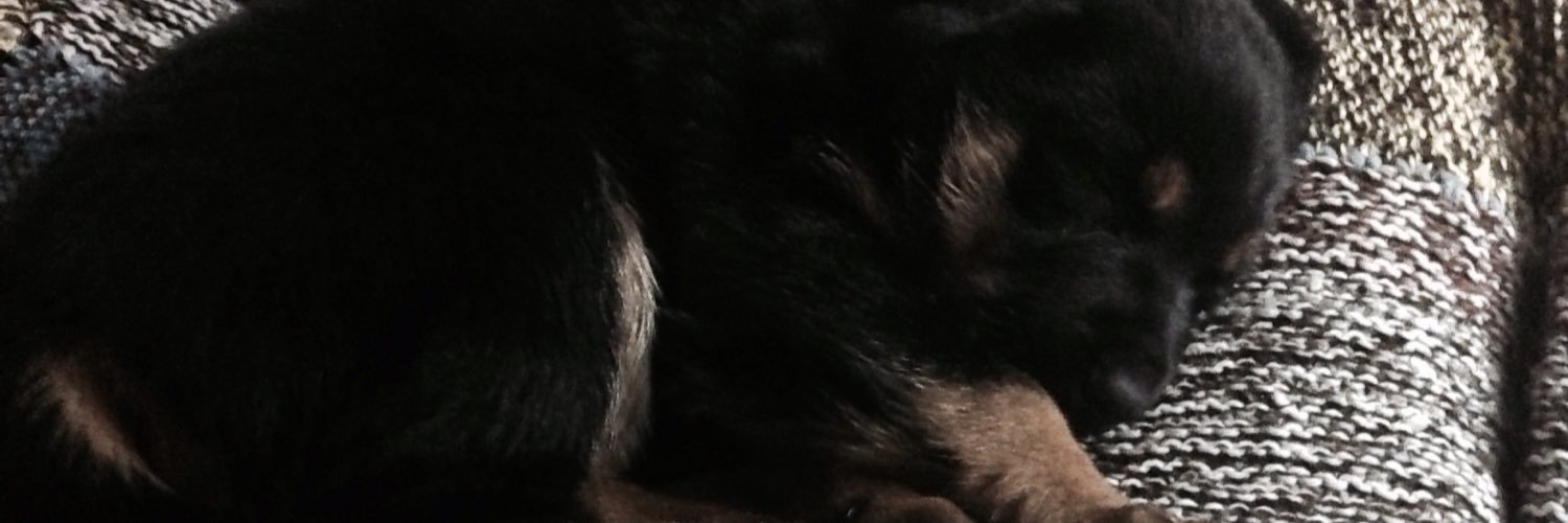 AndreeaNido's profile banner image