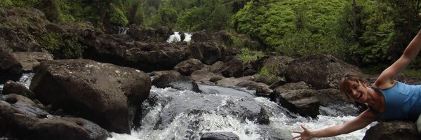 Psephenus Profile Banner