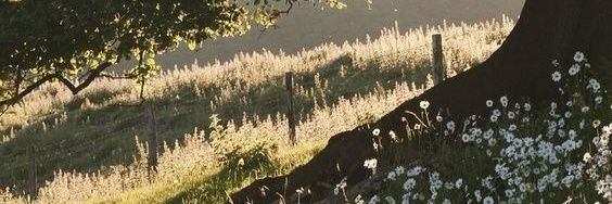 harleyqueer's profile banner image