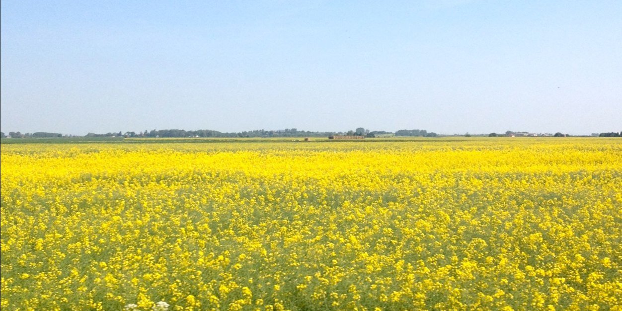 HannahBarrett's profile banner image