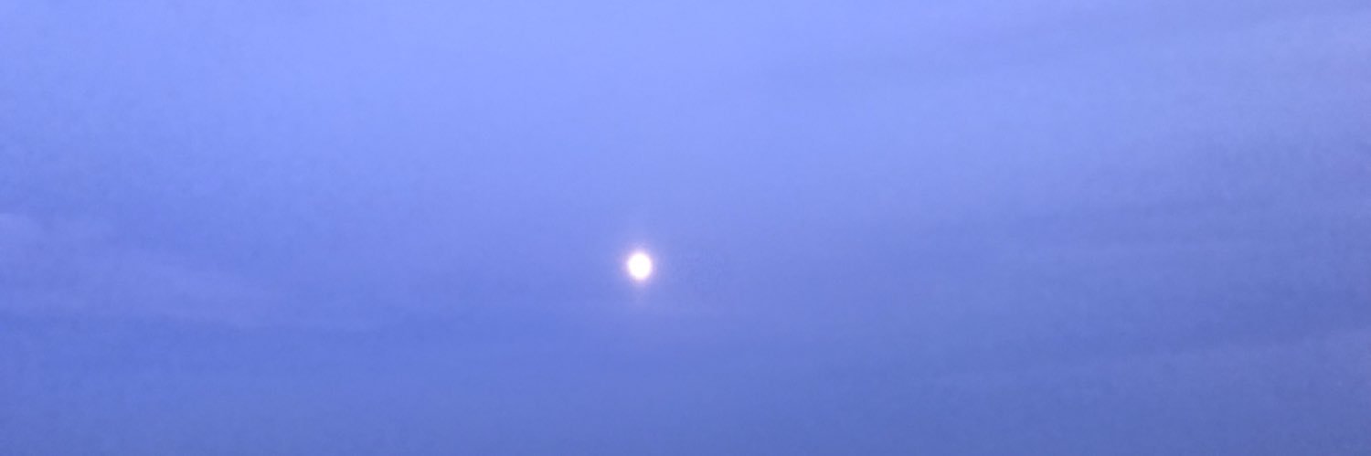 Gee_Bowden's profile banner image