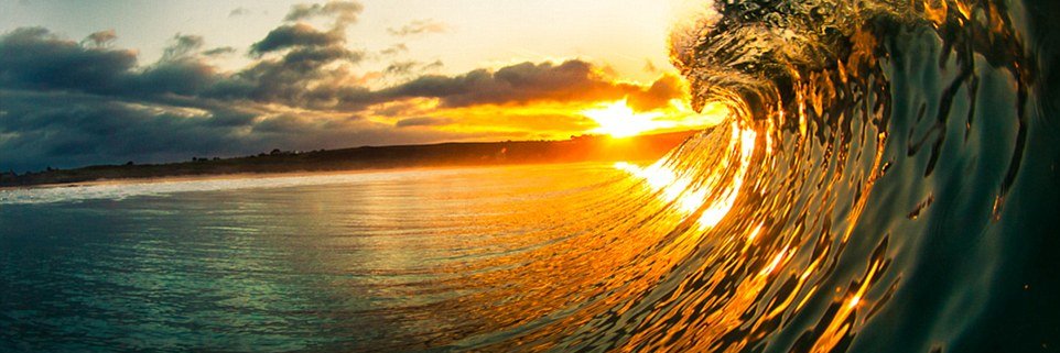 ~~ King Magoo ~~ banner