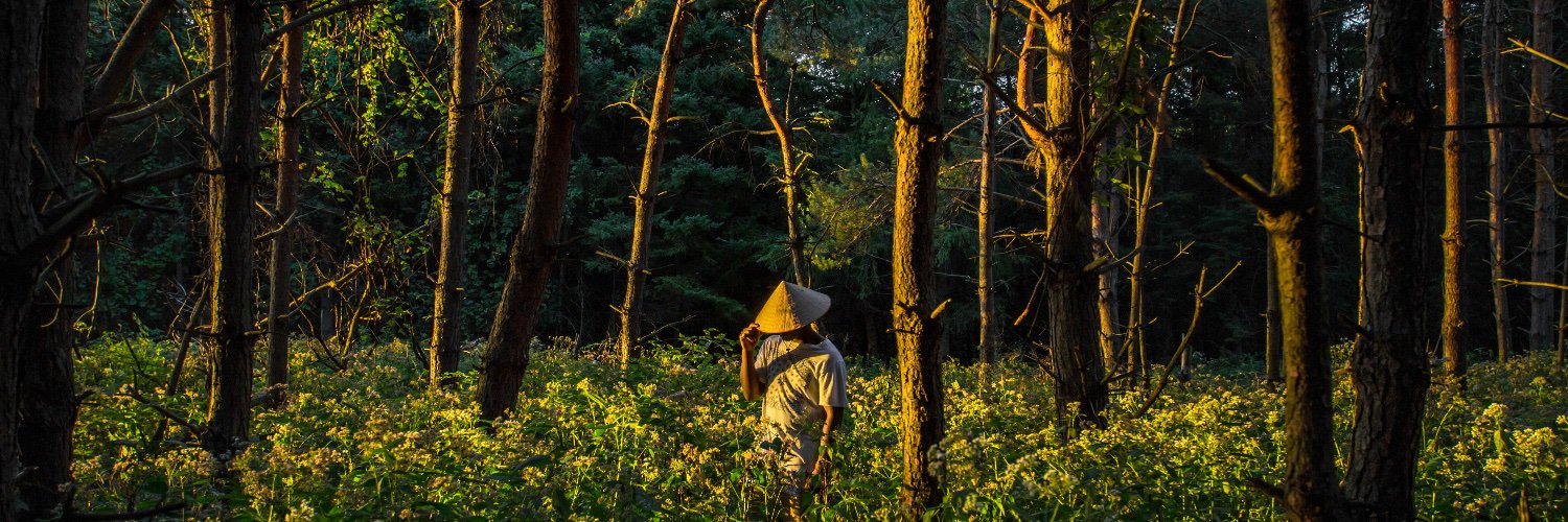 Ayyo905's profile banner image