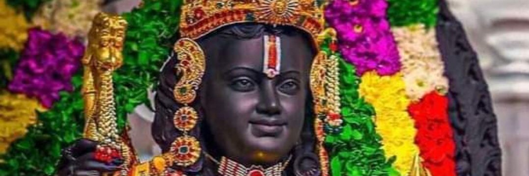 RightWing HINDU banner