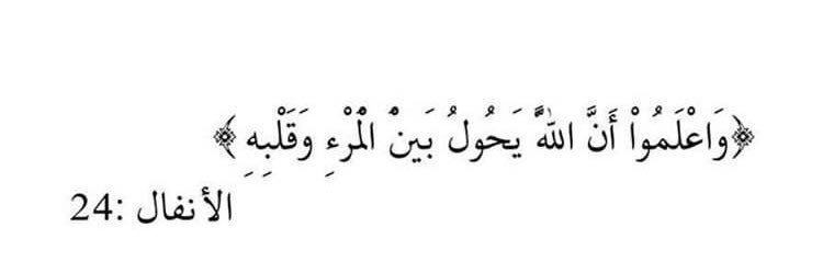 رَوان banner