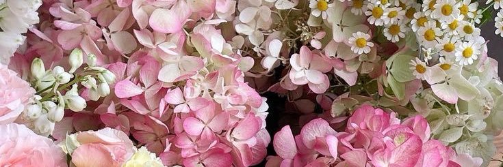 holacomoestasquehaces banner