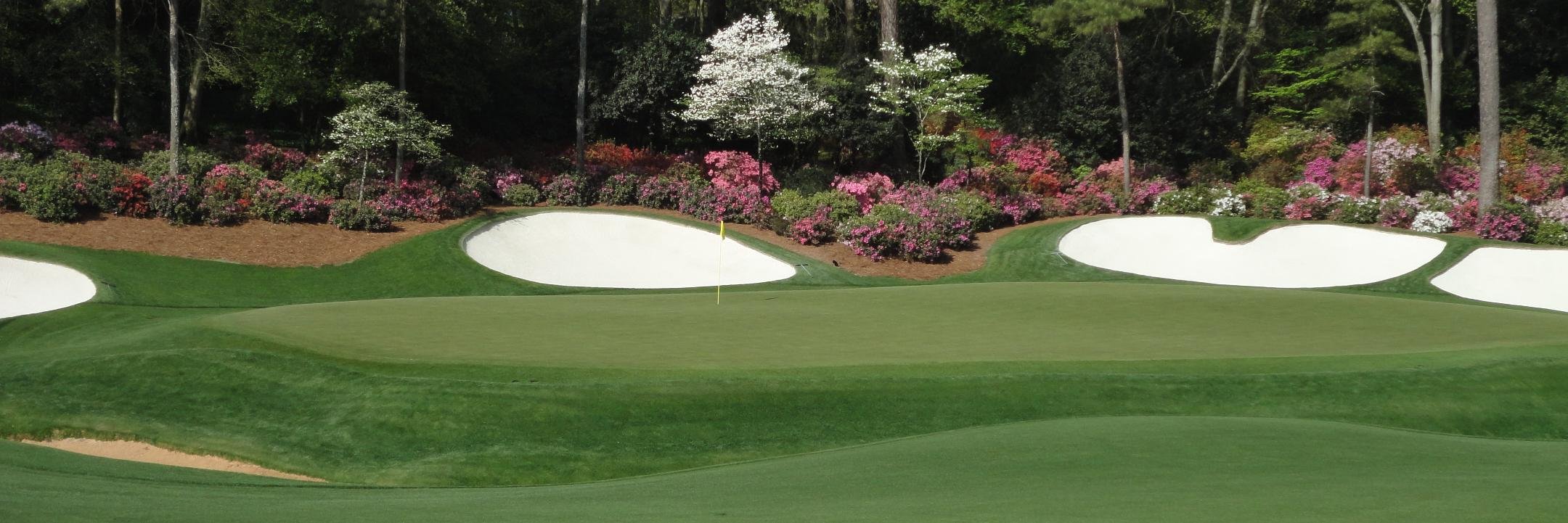 par4tiger's profile banner image
