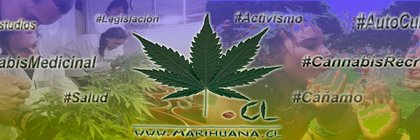 MarihuanaCL's profile banner image