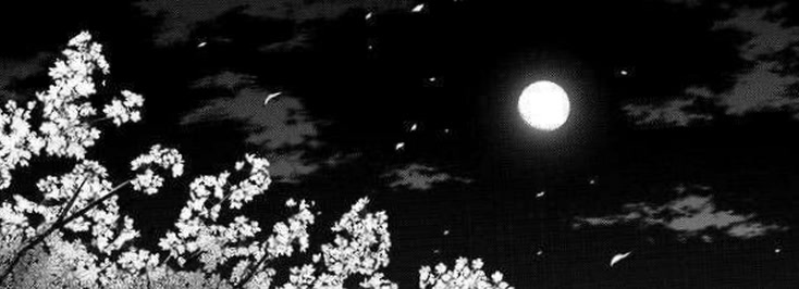 vnce957's profile banner image