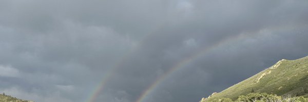 MinihahaNew Profile Banner