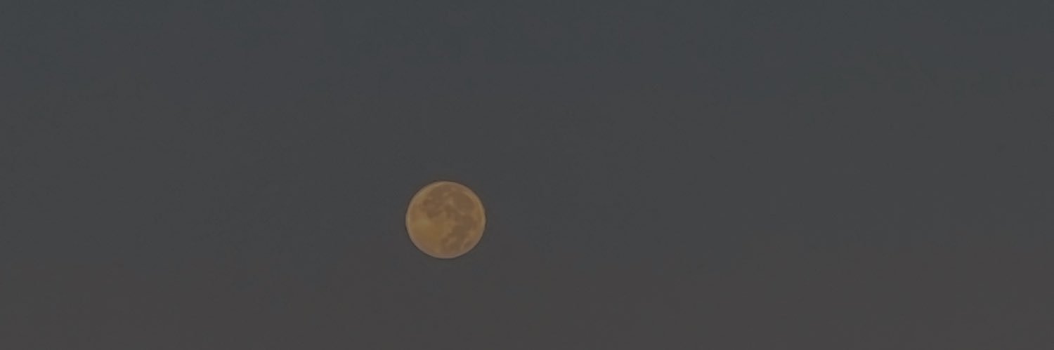 Brenda_Chm's profile banner image