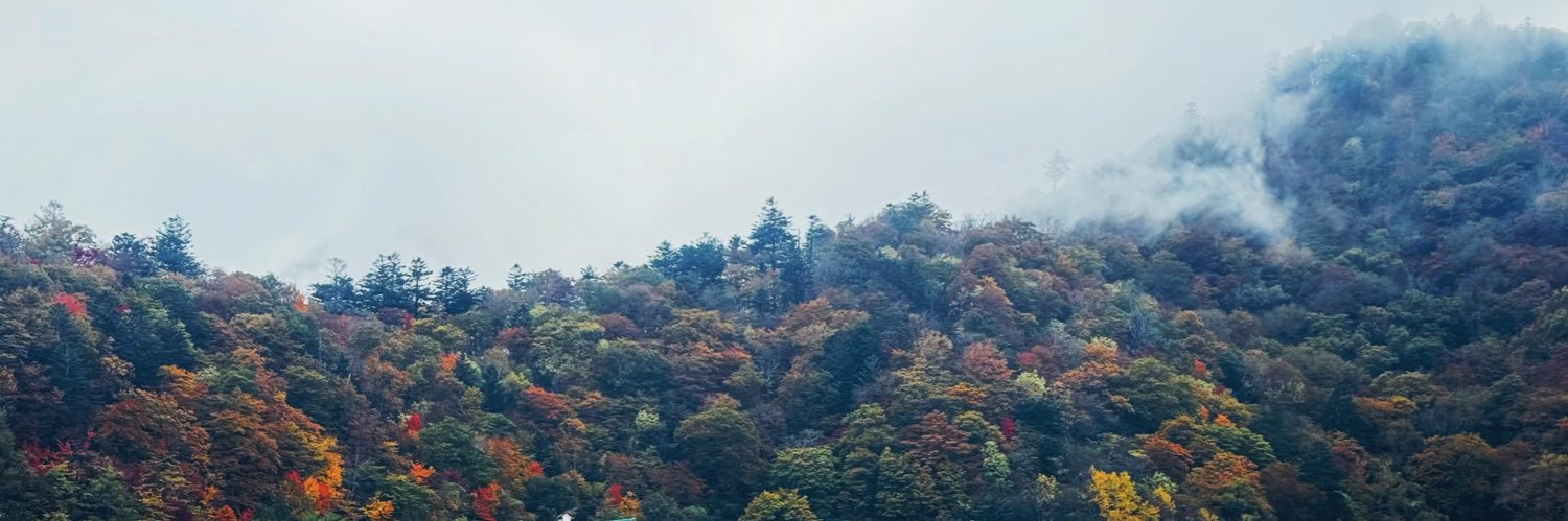 shamodnoi's profile banner image