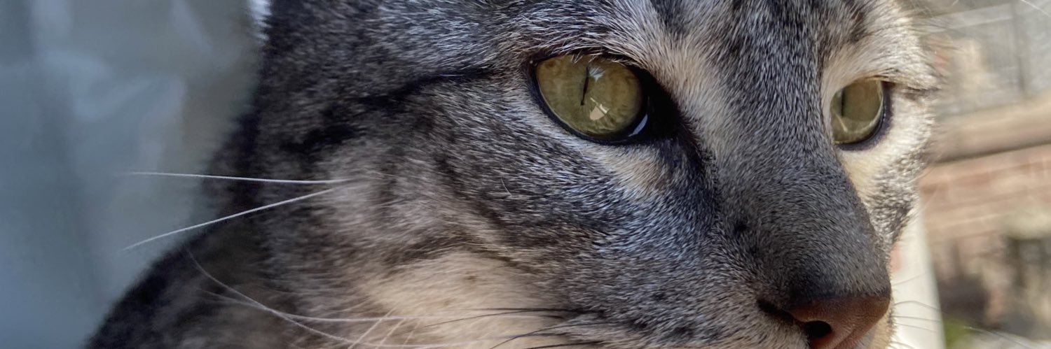 Rebcrnd's profile banner image