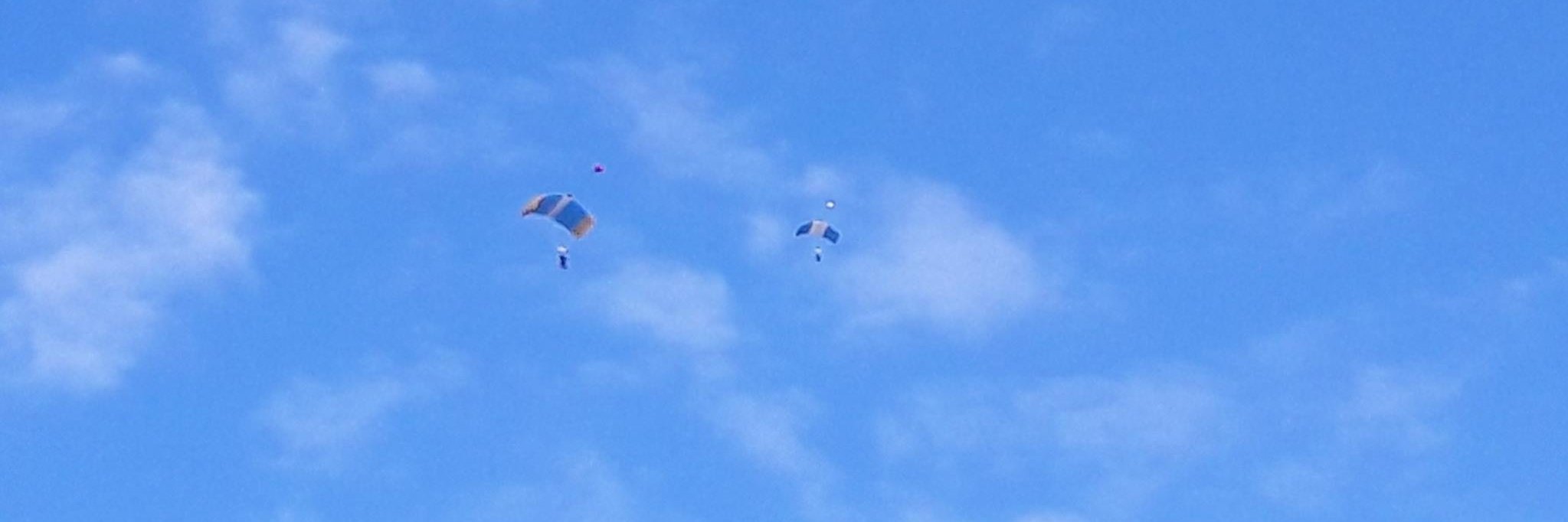 Fepe Cronopio banner