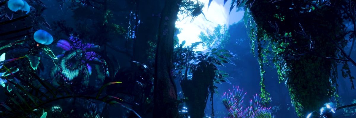 still ( sully ) reed ✌︎ banner