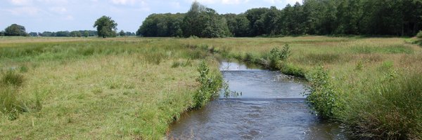 BertHidding Profile Banner