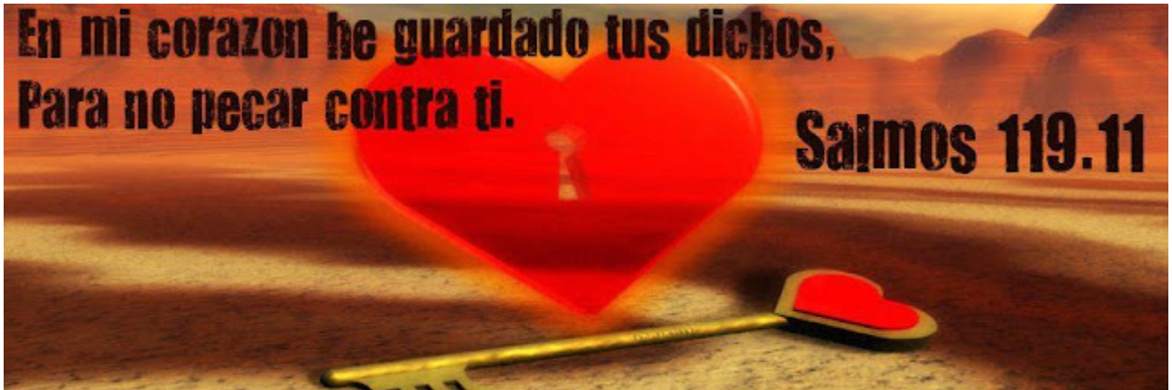 May C 🇲🇽🇮🇱🇺🇸 banner