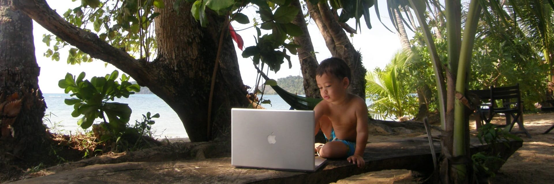 Tony O'Connell banner