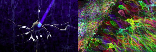 eboyden3 Profile Banner