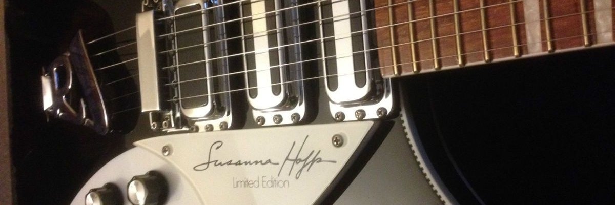 Bruno Mathieu banner