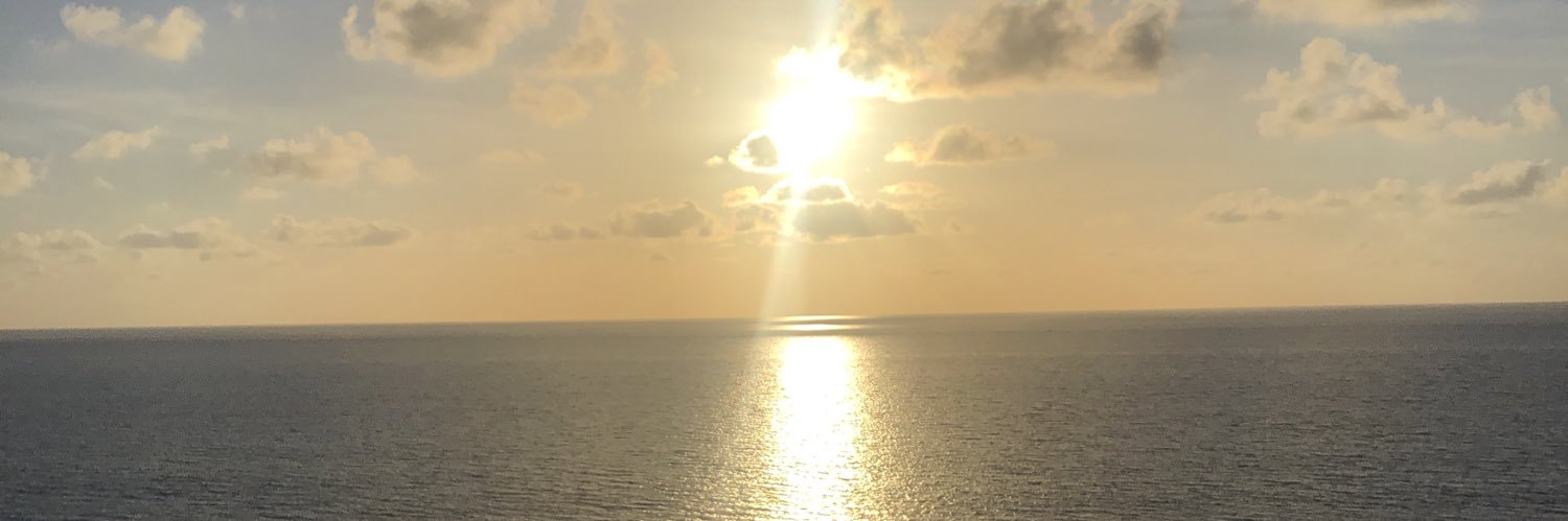 ericamnichole's profile banner image