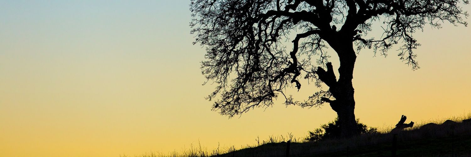 marooned1112's profile banner image