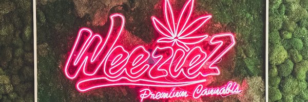 weeziezdtx Profile Banner