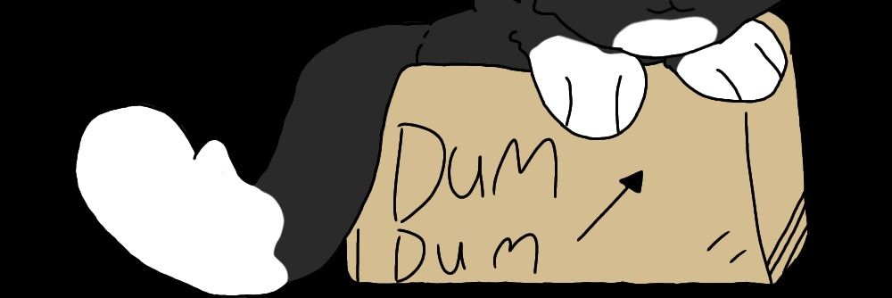 DrachenForge's profile banner image