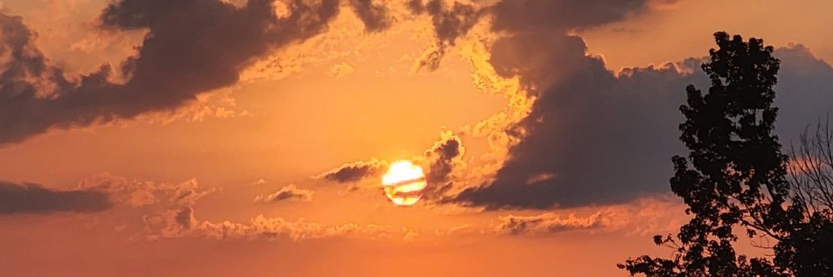 MandyAHSmith's profile banner image