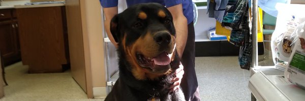 DontPe5437 Profile Banner