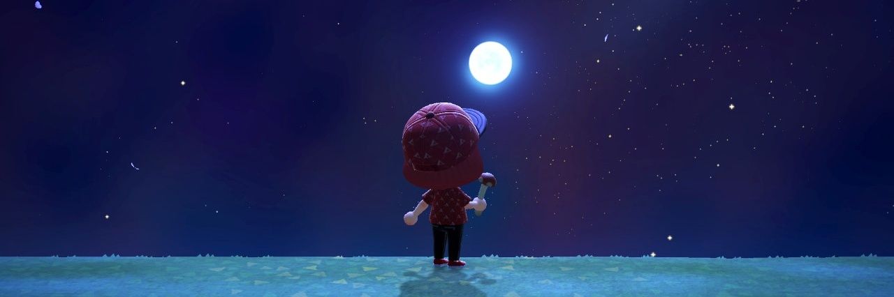 _Paint_Fox's profile banner image