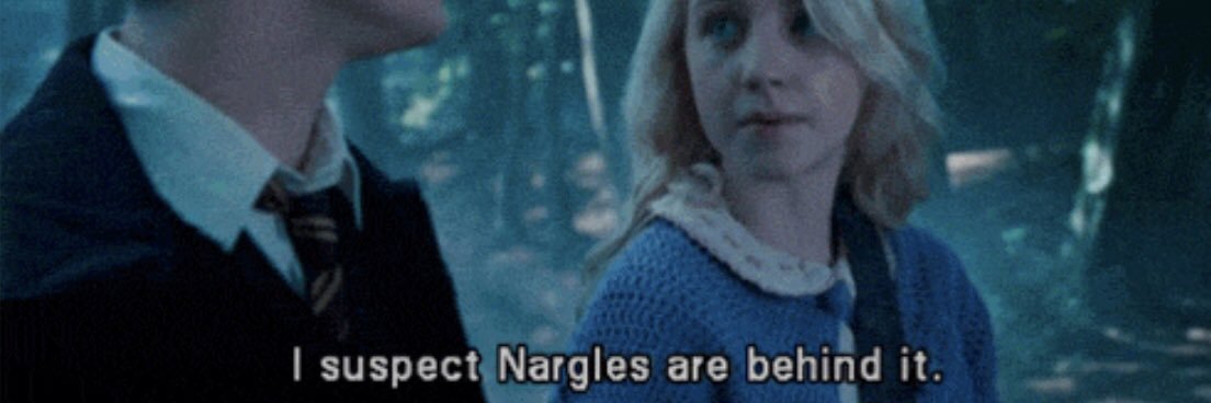 loglady marmalade banner