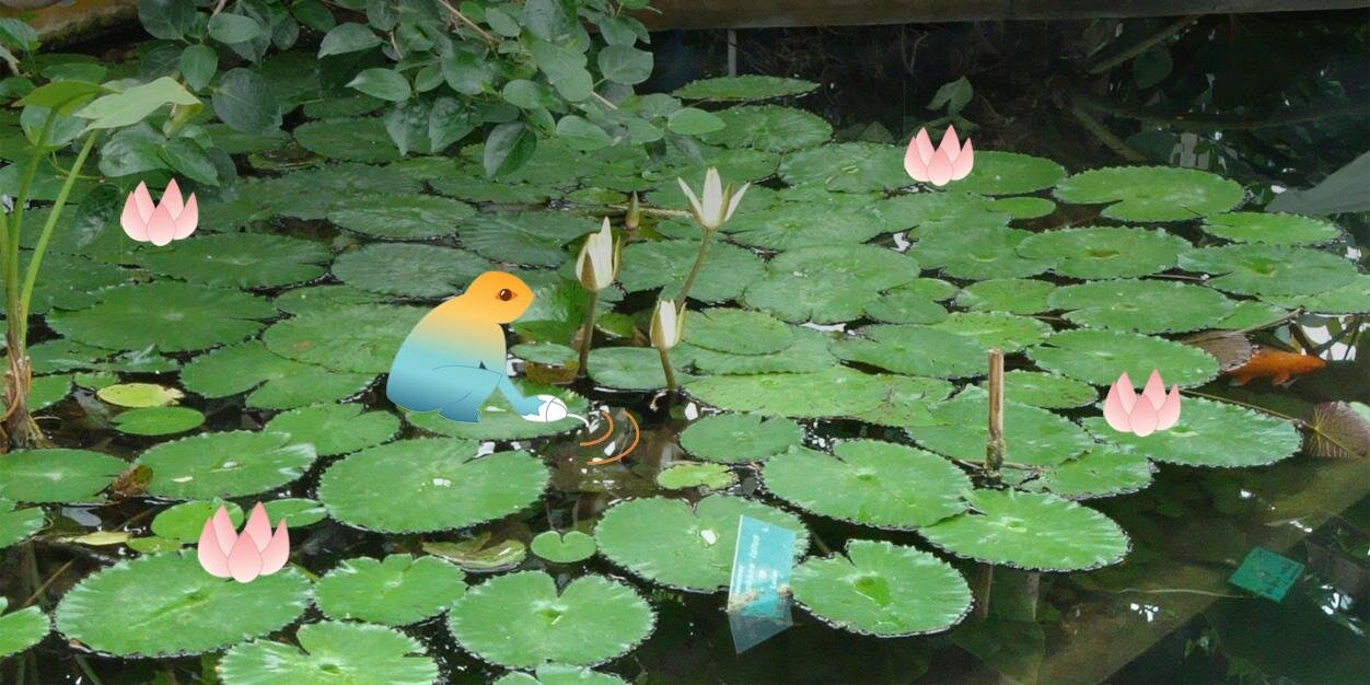 Mag_frog's profile banner image