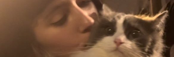 bumformardy's profile banner image