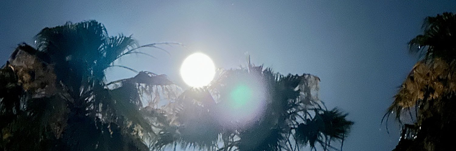 UpCuntry Mantis's banner