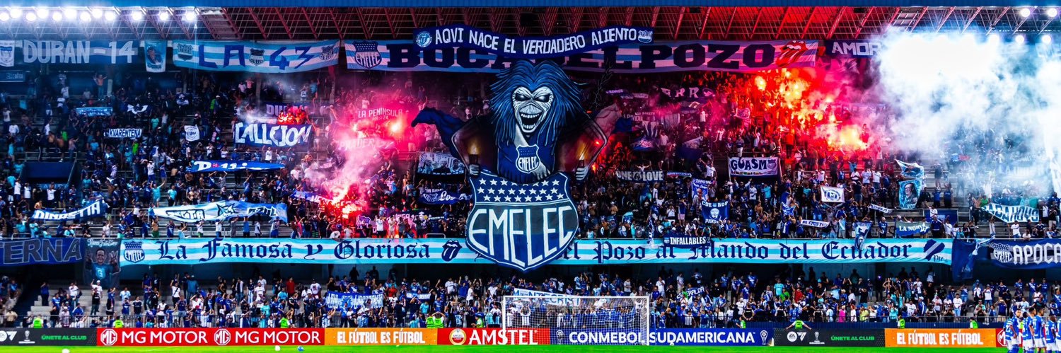 Wilson Steven banner