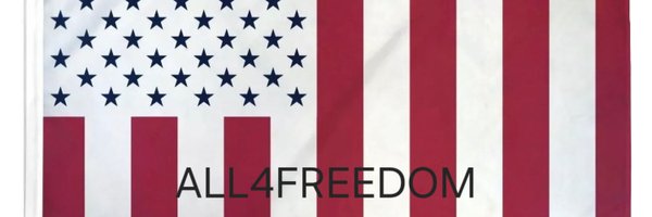 skillz17q Profile Banner