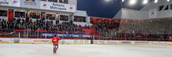 moogli44 Profile Banner