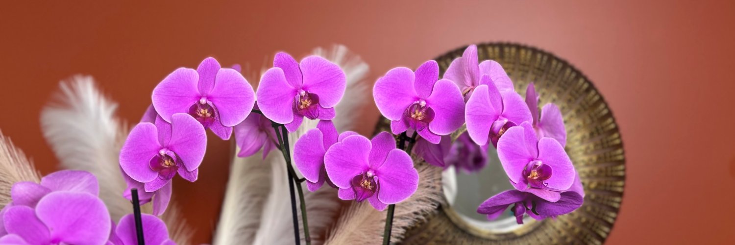 CJ Orchids banner