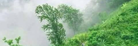 محمد عبدالله banner