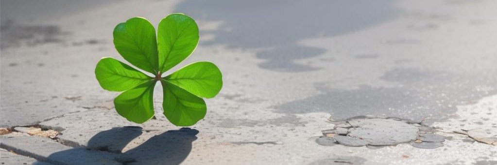 Life Car banner