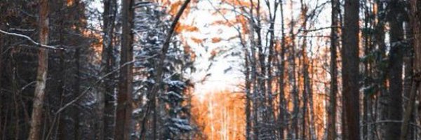 johnniejohnsonx Profile Banner